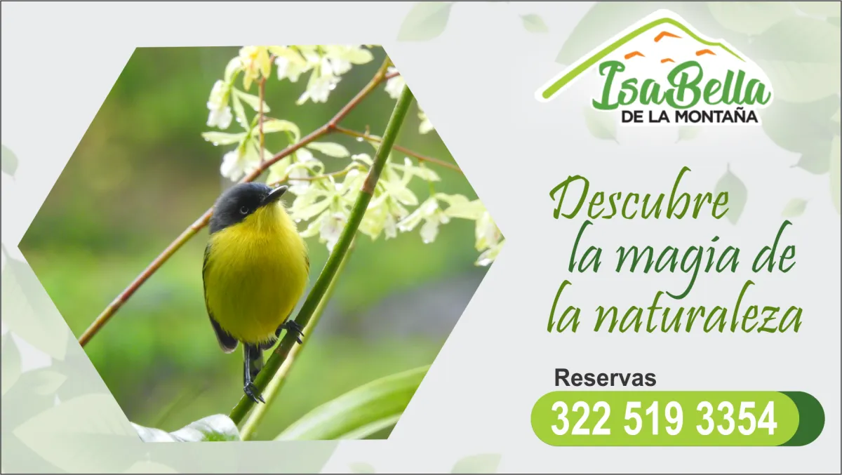 Galería Isabela de la Montaña — Glamping & Cascada - Foto 11