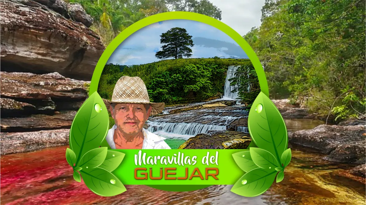 Galería Maravillas del Güejar - Foto 1