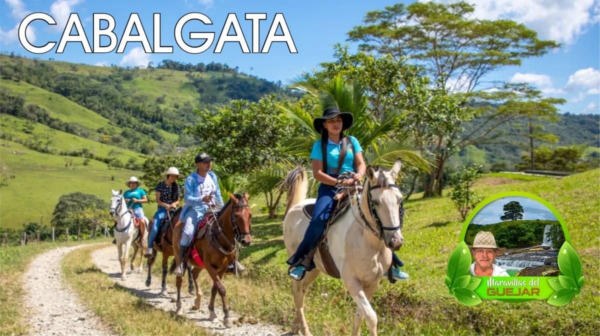 Galería Maravillas del Güejar - Foto 8