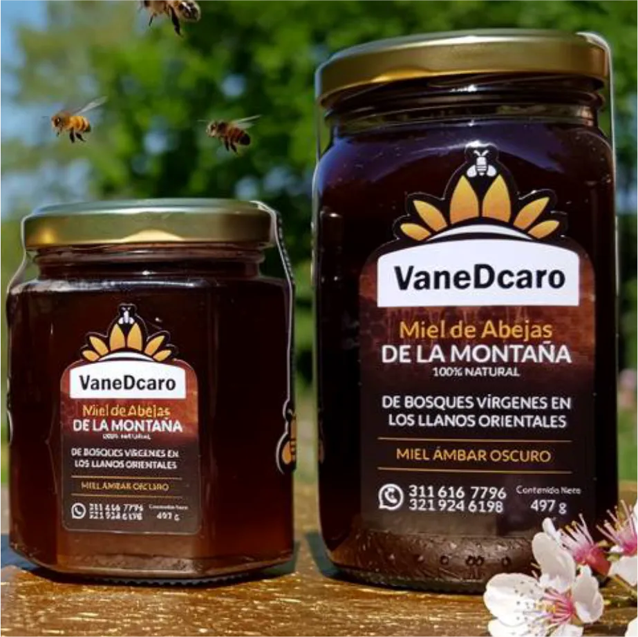 Galería Miel VaneDCaro - Foto 1