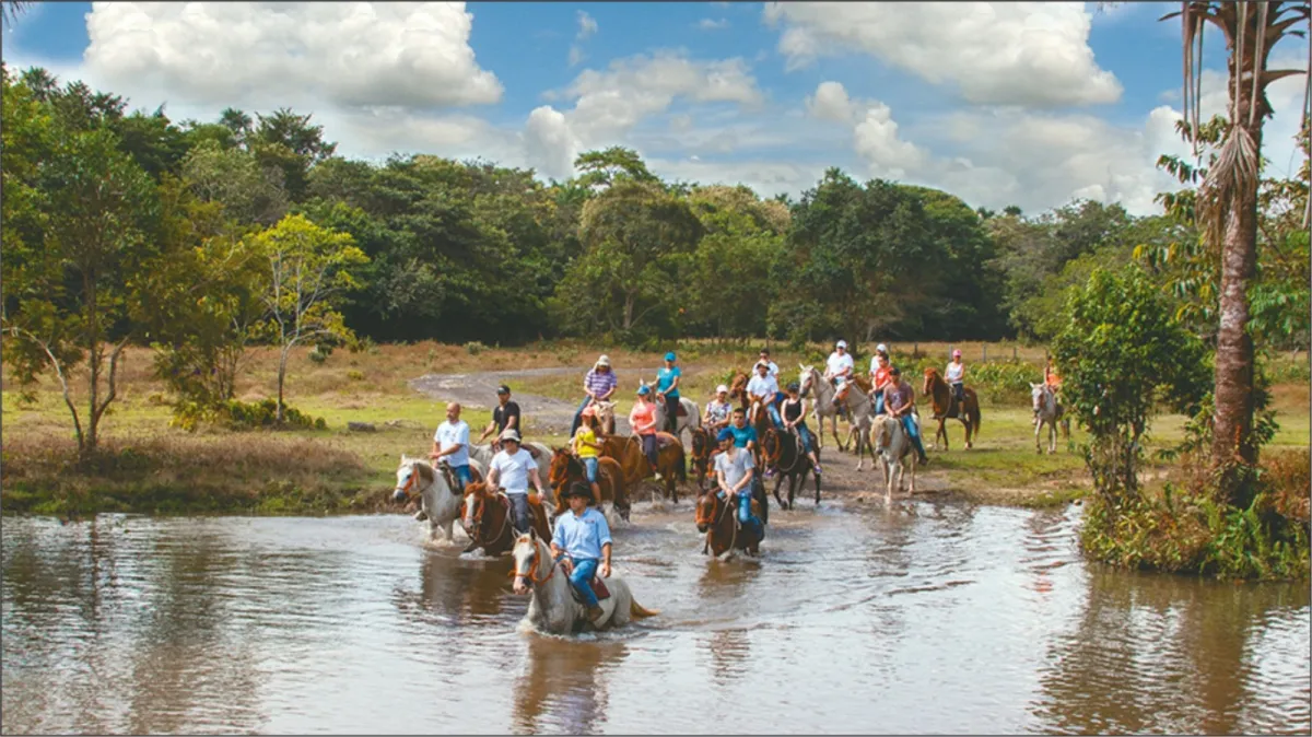 Tiuma Park — Parque Temático